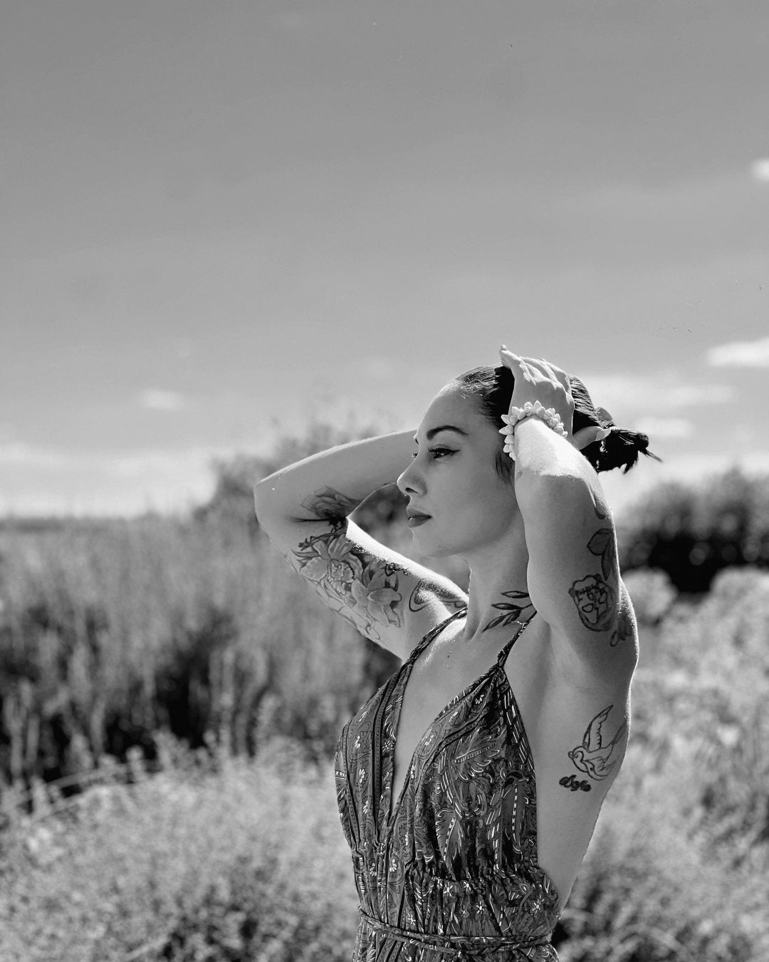 Vana Mansione